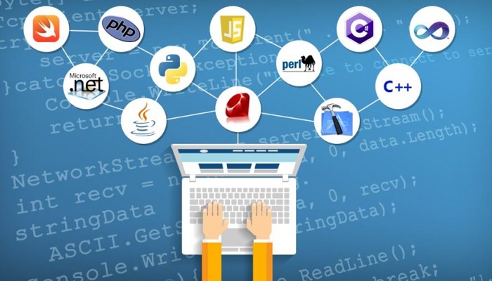 Programming Courses